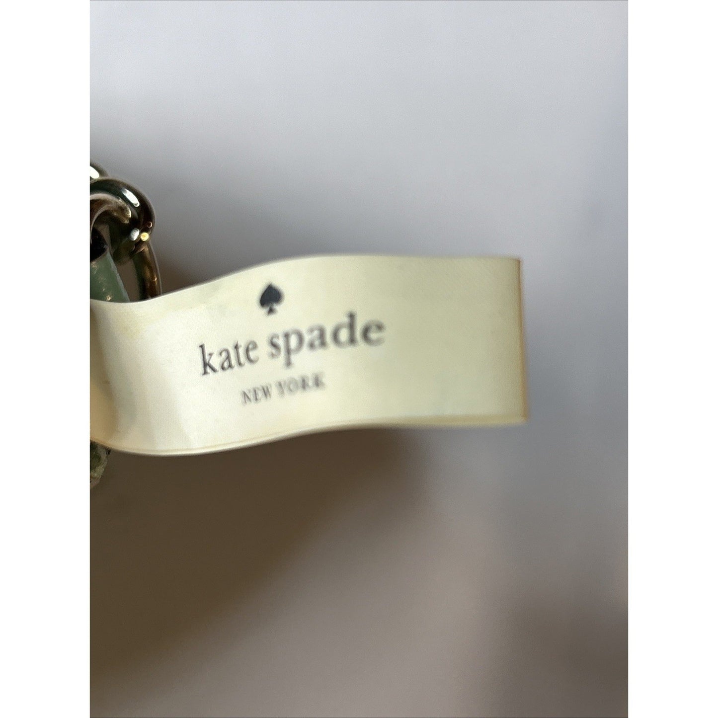 Kate Spade Mint Pebbled Leather Chain Strap Shoulder Bag – Silver Hardware